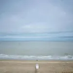 In Near & Pier