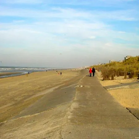 In Near & Pier * Blankenberge