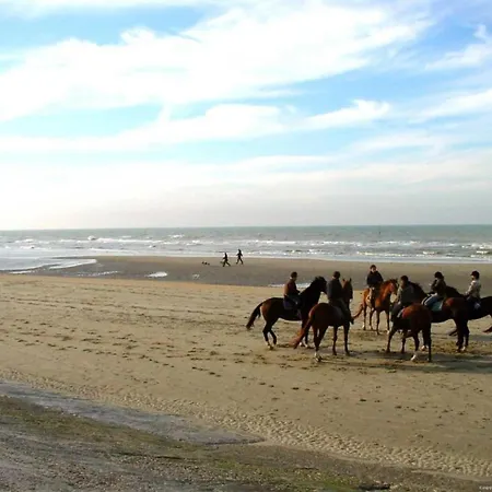 In Near & Pier * ブランケンベルヘ