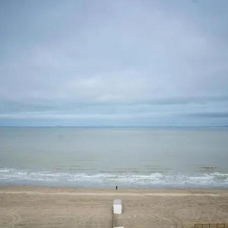 In Near & Pier