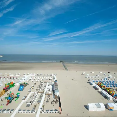 In Near & Pier *