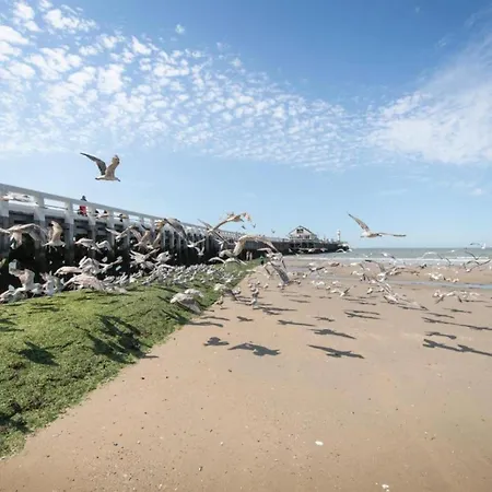 In Near & Pier アパート