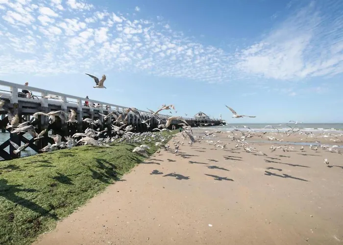 In Near & Pier Appartement